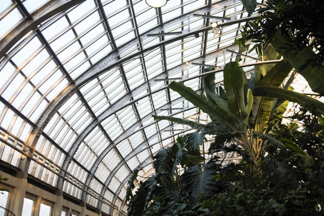 glas von einem wintergarten in wien